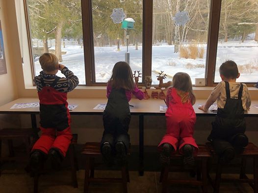 Project Feederwatch Count The Birds With Us At Saratoga Spa