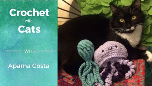 Crochet With Cats March Love At The Dancing Cat San Jose