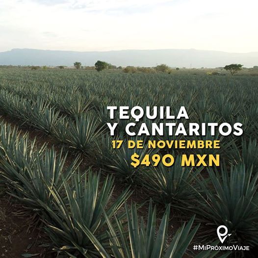 Tequila Y Cantaritos, Mi Próximo Viaje, Guadalajara, November 17 2019
