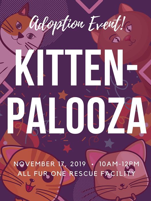 KittenPalooza Adoption Event!, All Fur One Pet Rescue & Adoptions