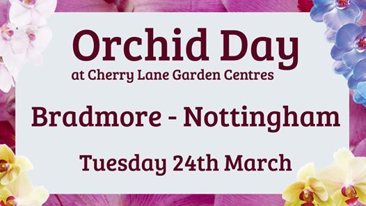 Orchid Day Bradmore At Cherry Lane Garden Centres Nottingham