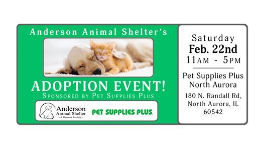 Aurora Indiana Haven Pet Rescue Paws For Love By Mara Wells