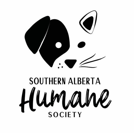 Southern Alberta Humane Society Adoption Event At Pet Valu