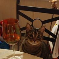 Attendee