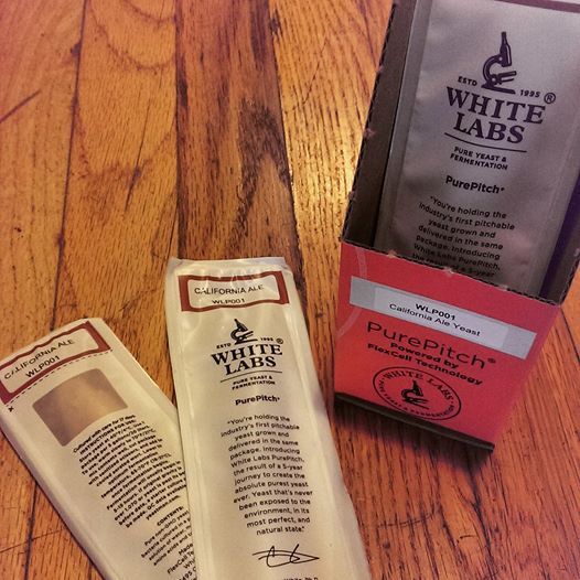 Yeast Experiment, Tasting, & Homebrewer Social, Michigan Brew Supply