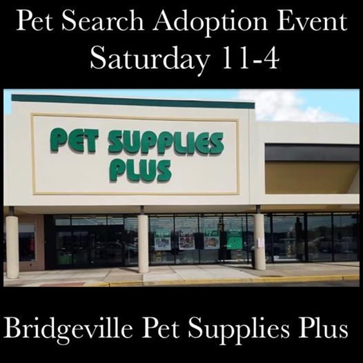 Pet Supplies Plus Bridgeville - The W Guide