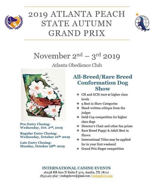 atlanta obedience club