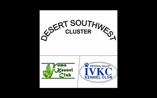 jack bradshaw dog shows 2019